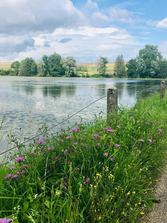 L'Echappee Ardennaise - Gite 6 Places Tout Confort Semuy Bagian luar foto