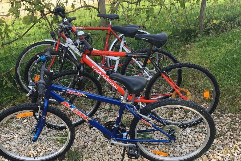 L'Echappee Ardennaise - Gite 6 Places Tout Confort Semuy Bagian luar foto